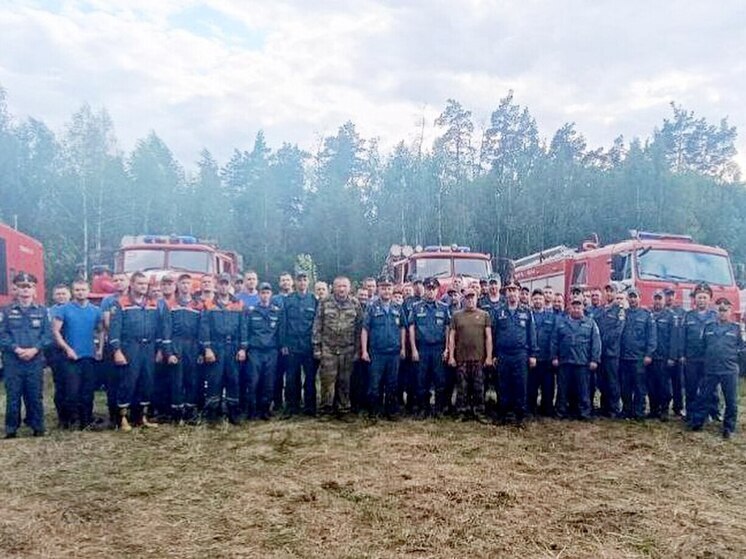 Воронежские пожарные вернулись с тушения заповедника в Липецкой области