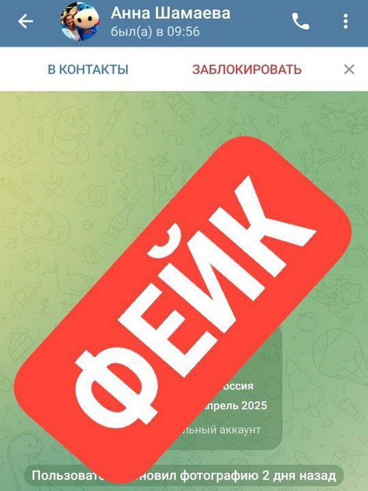 Мошенники создали фейковый аккаунт замглавы администрации Липецка Анны Шамаевой