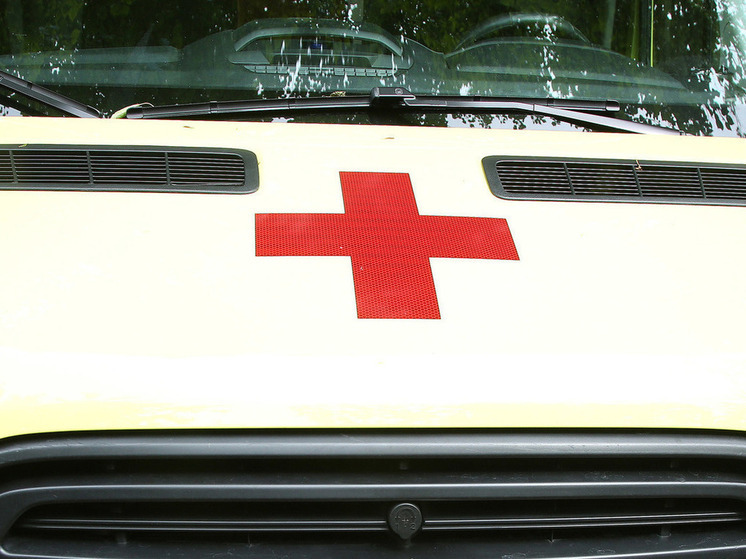 В подмосковном Домодедово погибла 14-летняя девочка