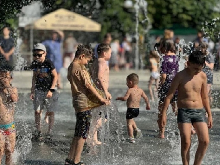 Жара в Новосибирске перепрыгнет отметку в +30°C