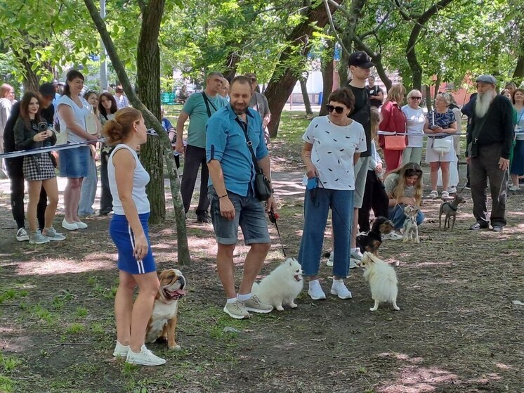 В Бердянске состоялась выставка собак