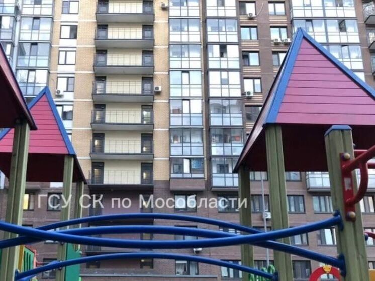 В округе Балашиха возбудили уголовное дело после ЧП с девочкой на детской площадке