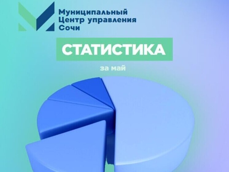 В МЦУ Сочи за месяц обратились свыше 4000 человек через цифровые платформы