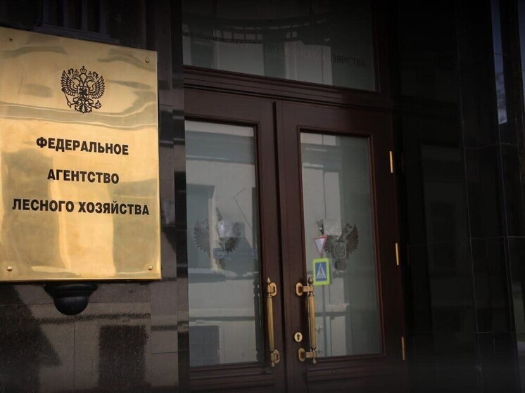  Рослесхоз и Минлесхоз Иркутской области обсудили борьбу с лесными пожарами