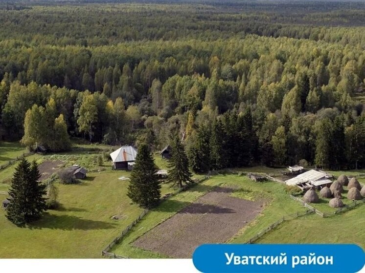 У Тюменской области большой потенциал в сфере деревообработки