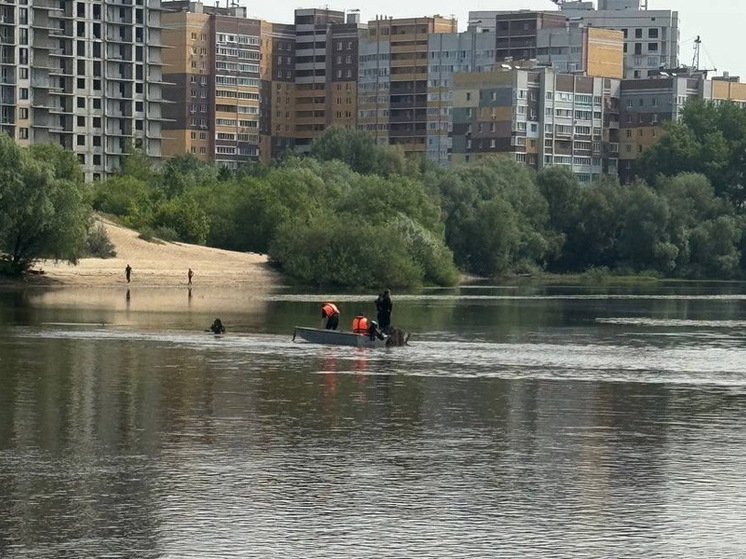 В Брянске ищут тела двух утонувших подростков