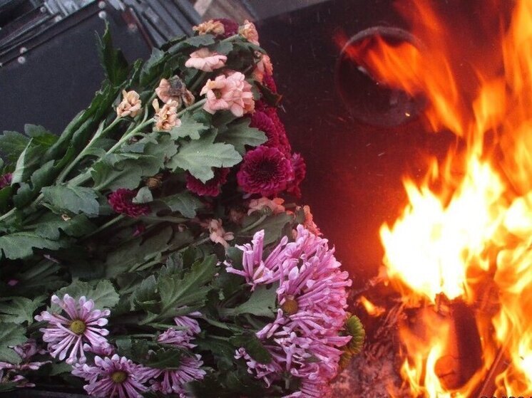 120 зараженных хризантем уничтожат в Псковской области