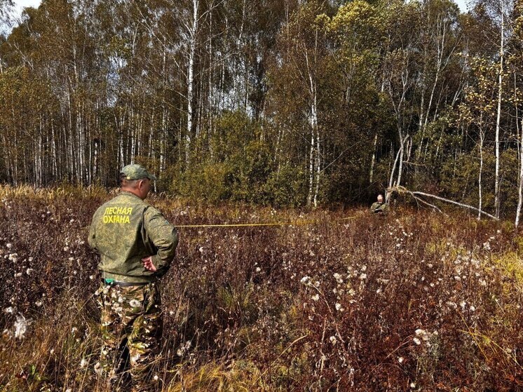 Свыше 550 нарушений обнаружили во время мероприятия "Смежник"