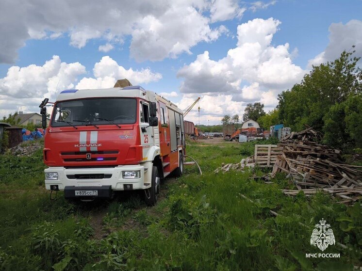 В Тульской области за неделю на пожарах погибло три человека