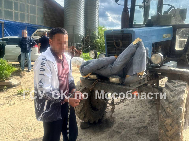 Новые подробности гибели 13-летнего подростка в механизме культиватора вблизи деревни Нижнево Дмитровского муниципального округа стали известны «МК»
