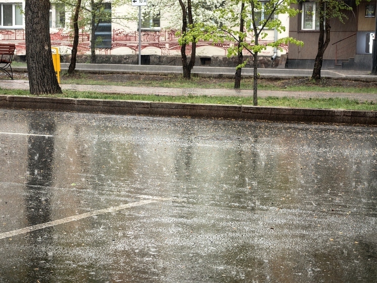 Синоптики Хакасии пообещали дожди и больше +20 градусов