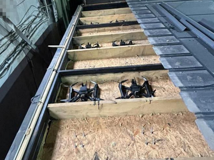 Ветеран «Альфы» Кумов: фуры с дронами могли не досматривать