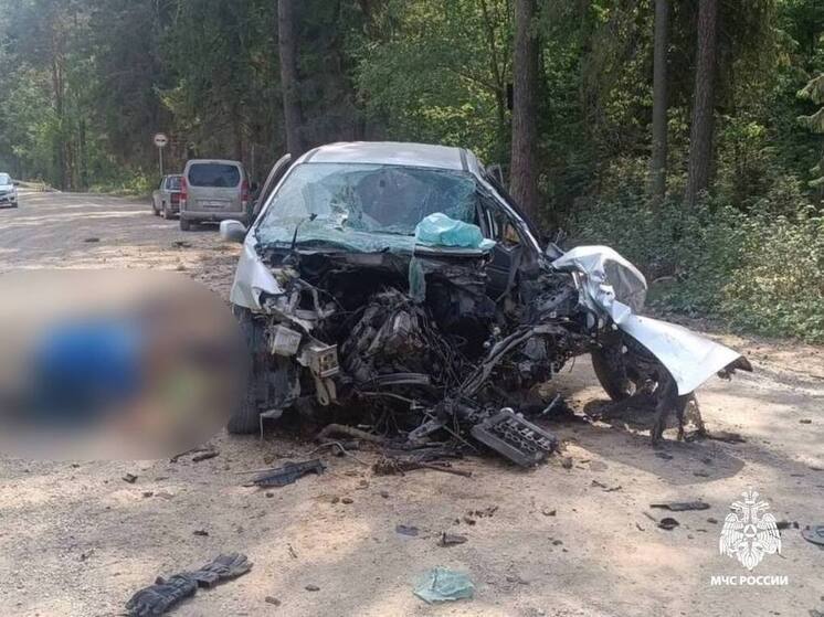 В Тверской области водитель легковушки влетел в дерево: пострадавших детей транспортируют на вертолете