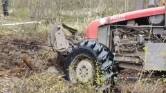 97 гектаров просеки были расчищены на линии электропередачи в Опочецком районе