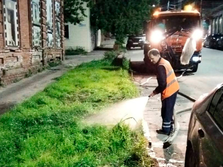 В Воронеже заботятся о газонах на центральных улицах