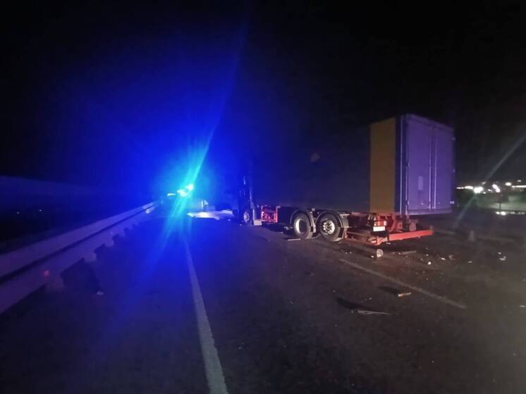 Возбуждено уголовное дело по факту смертельного ДТП на трассе М-5 в Рязани