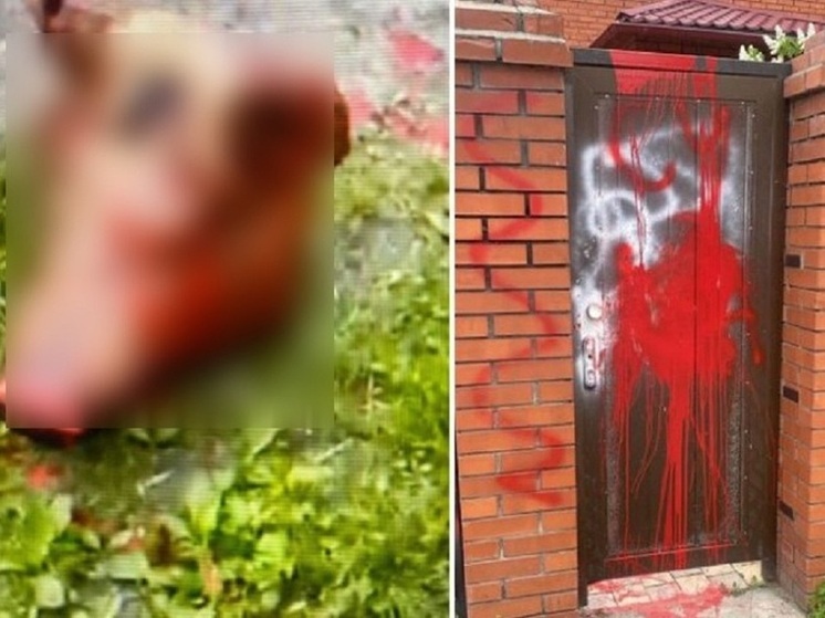Свиную голову подкинули под дверь жительнице Новосибирска