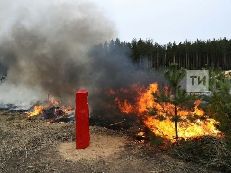 В связи с угрозой возникновения пожаров ввели запрет на въезд в леса Татарстана