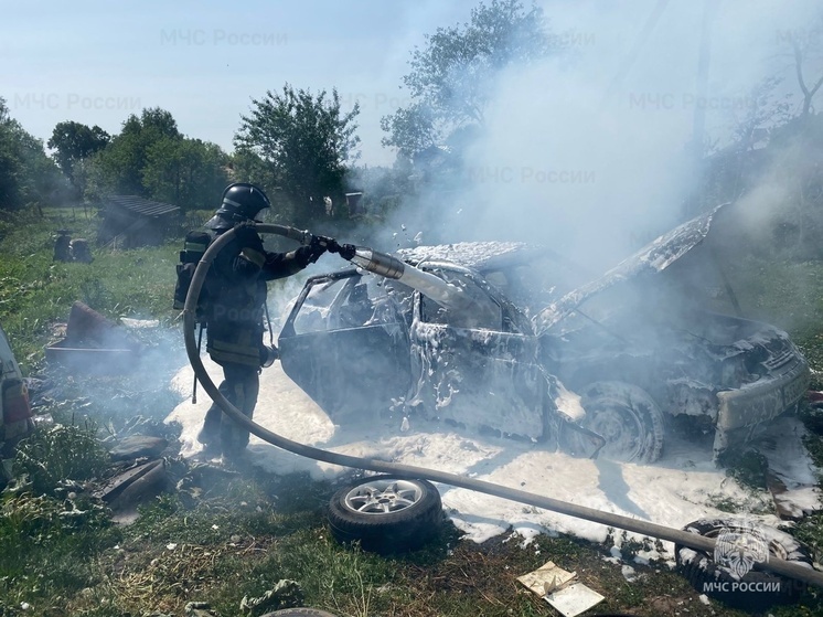 В деревне Никольское Дзержинского района днём сгорел автомобиль