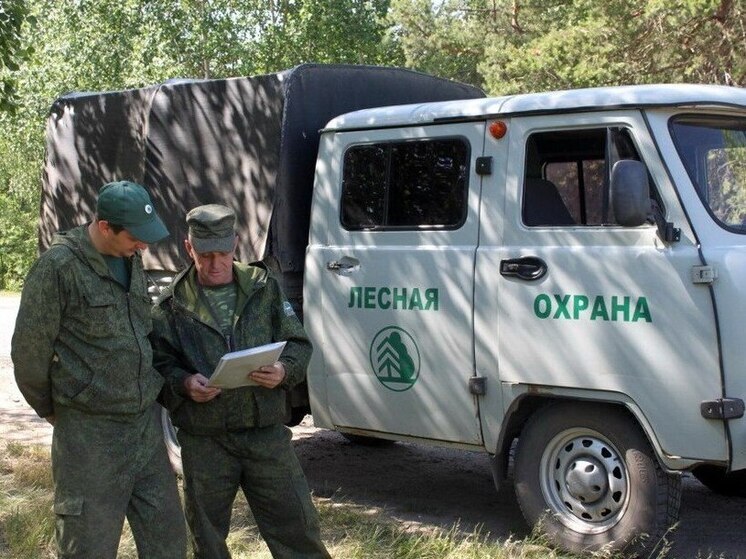 Премии для специалистов лесного хозяйства утвердили парламентарии Липецкой области
