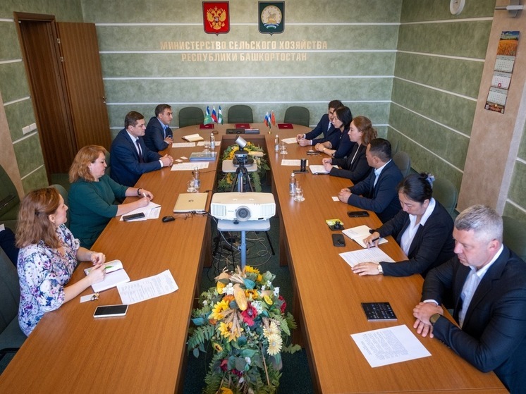 В Башкирии может появиться российско-китайский маслозавод