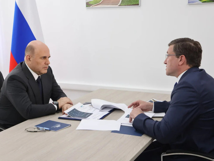 Глеб Никитин рассказал премьер-министру о промышленности региона