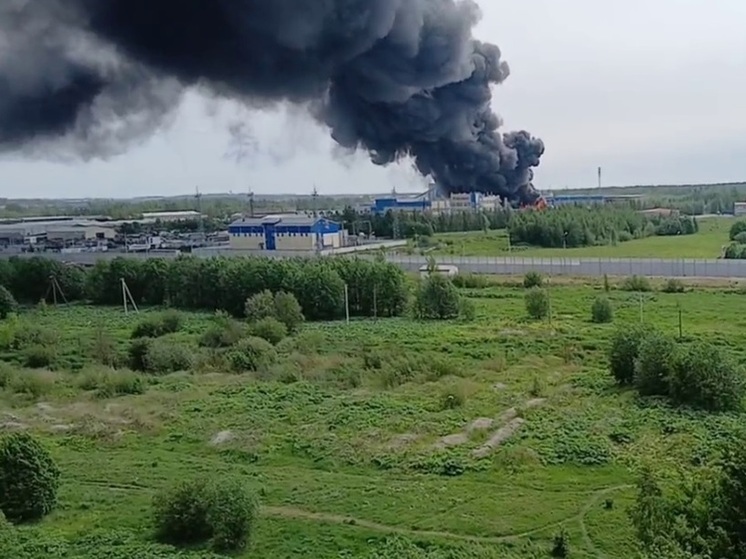 В промзоне Янинино-1 в Санкт-Петербурге произошел мощный пожар