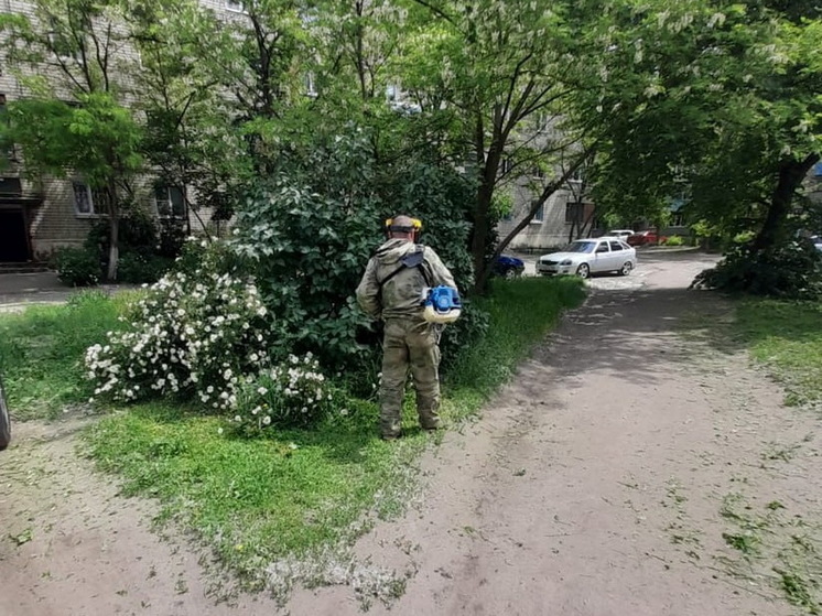 В Курске в рамках проверки более 100 дворов выявили 10 нарушений