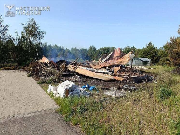 Дроны ВСУ атаковали три белгородских муниципалитета
