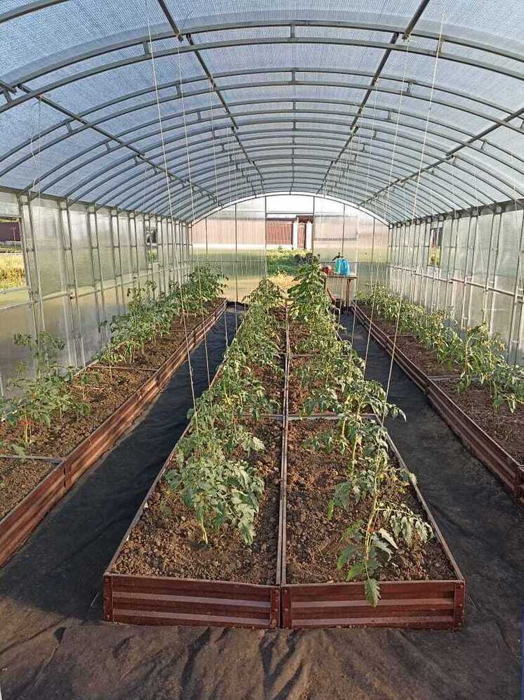 165 социальных контрактов планируют заключить в этом году в Изобильненском округе