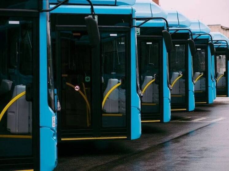 В Петербурге появятся 293 новых дизельных автобуса за 5,7 млрд рублей