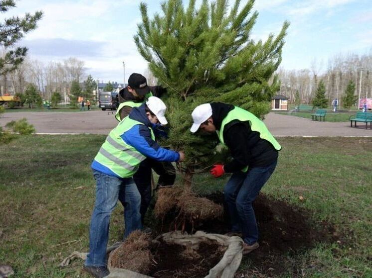 Участие в акции «Зеленая Башкирия» приняли 47 тыс. человек
