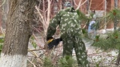 В Элисте идет уборка