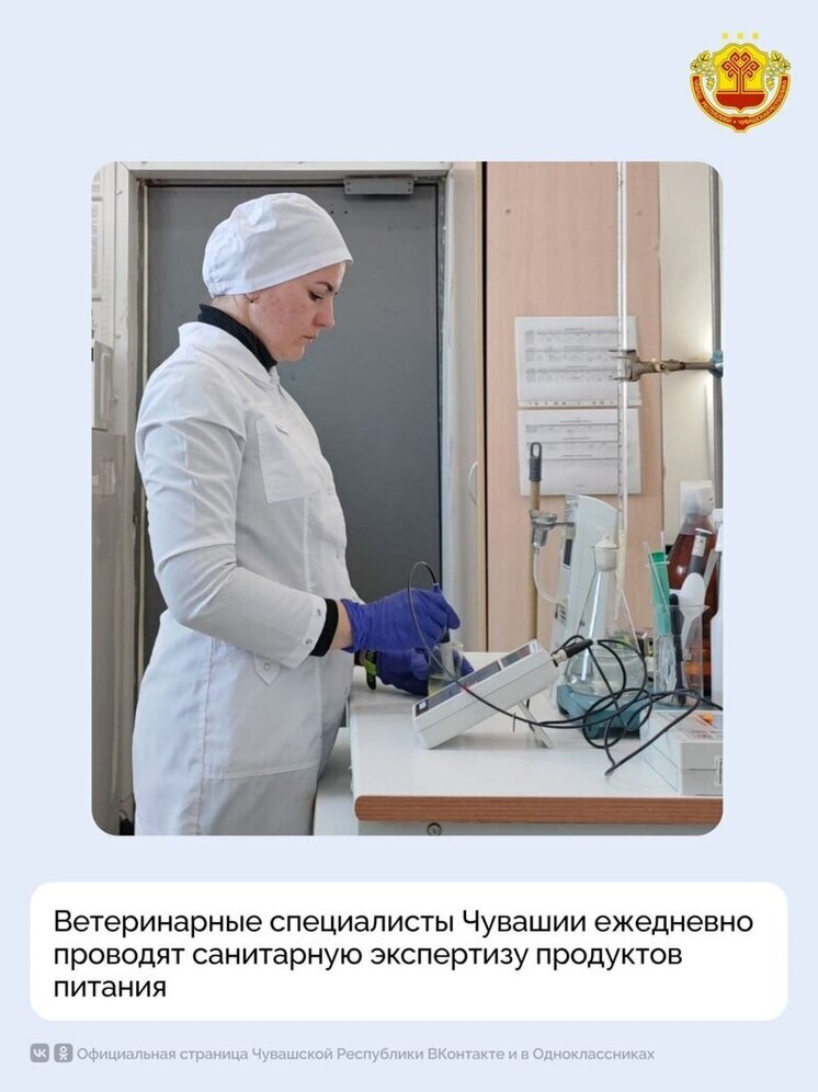 В Чувашии проверили сотни тысяч тонн продуктов: Госветслужба на страже качества