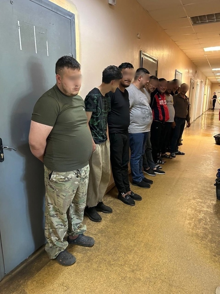 В Костромском районе задержана ОПГ из представителей цыганского этноса