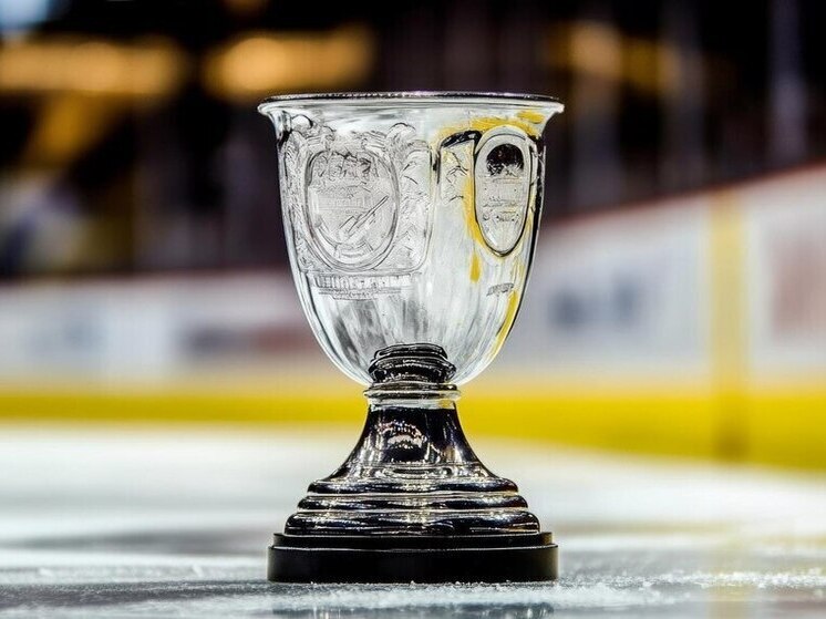 Экс-тренер СКА Ротенберг: нам было важно развивать российский хоккей