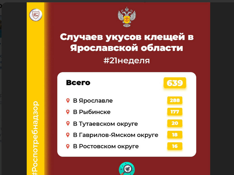 В Ярославской области выросло количество покусанных клещами