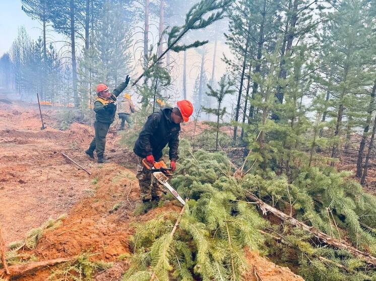В Бурятии потушено почти 45 тыс  гектаров горевшей тайги