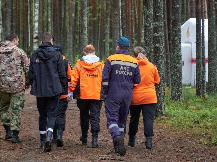 Пропавших людей в Хабаровском крае смогут искать с помощью цифровых технологий