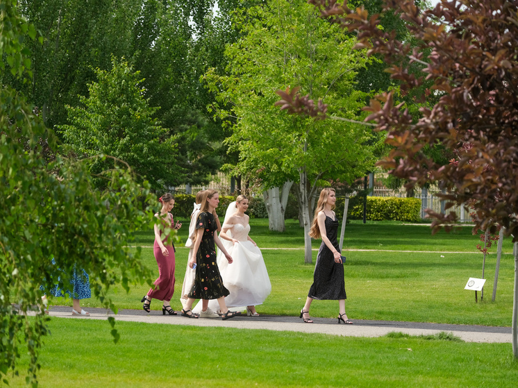 В Волгоградской области 3 июня ввели желтый уровень погодной опасности
