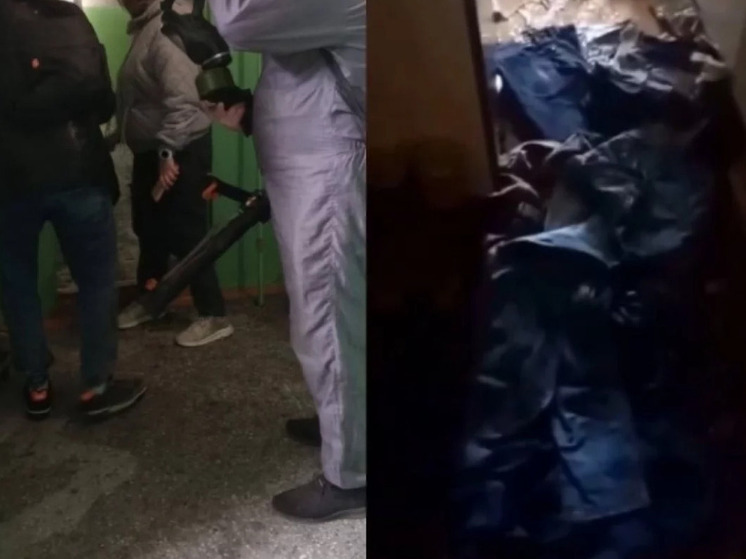 В Новосибирске жильцы дома на Палласа продолжают терпеть трупный запах