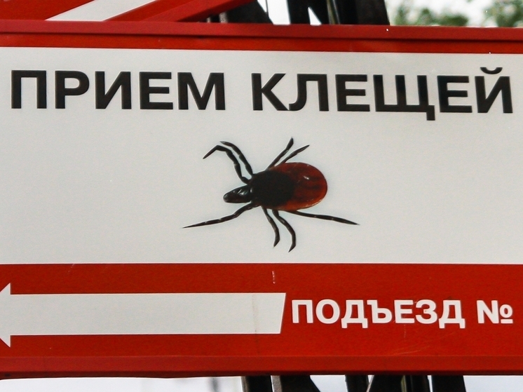 Более 200 детей пострадали от укусов клещей за два месяца