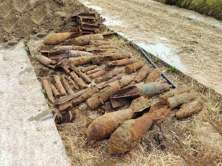 На кладбище в Славянске-на-Кубани обнаружили арсенал из 39 авиабомб времён ВОВ