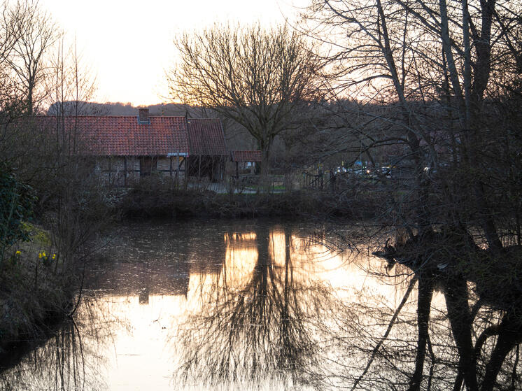 США тонет: Климат меняет карту доступного жилья в стране