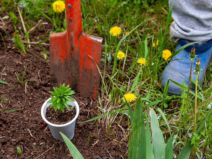 Россияне готовы купить жилье в высотке с бесплатным огородом
