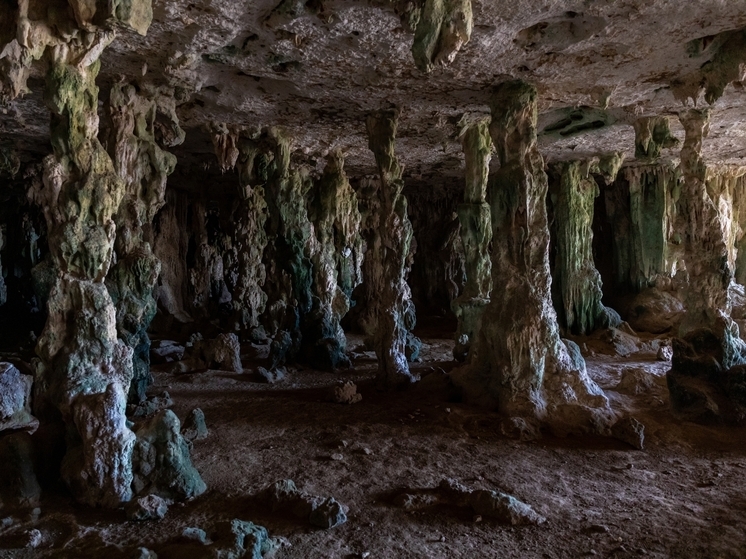 Угроза новой пандемии: Опасные вирусы нашли в пещере Китум