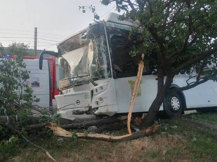 Воронежский СК начал проверку по аварии с участием автобуса с 35-ю пассажирами