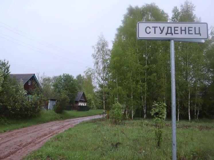 Бездорожье в кировской деревне: жители обивают пороги в поисках дороги