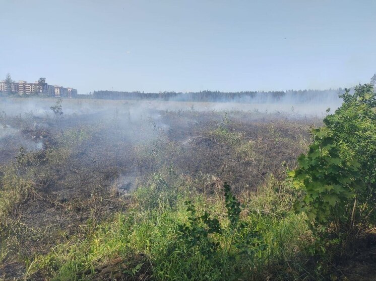 Огненный прогноз до 5 июня дали в Подмосковье