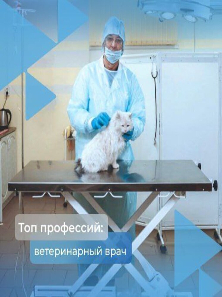 Астраханская область ищет ветеринаров